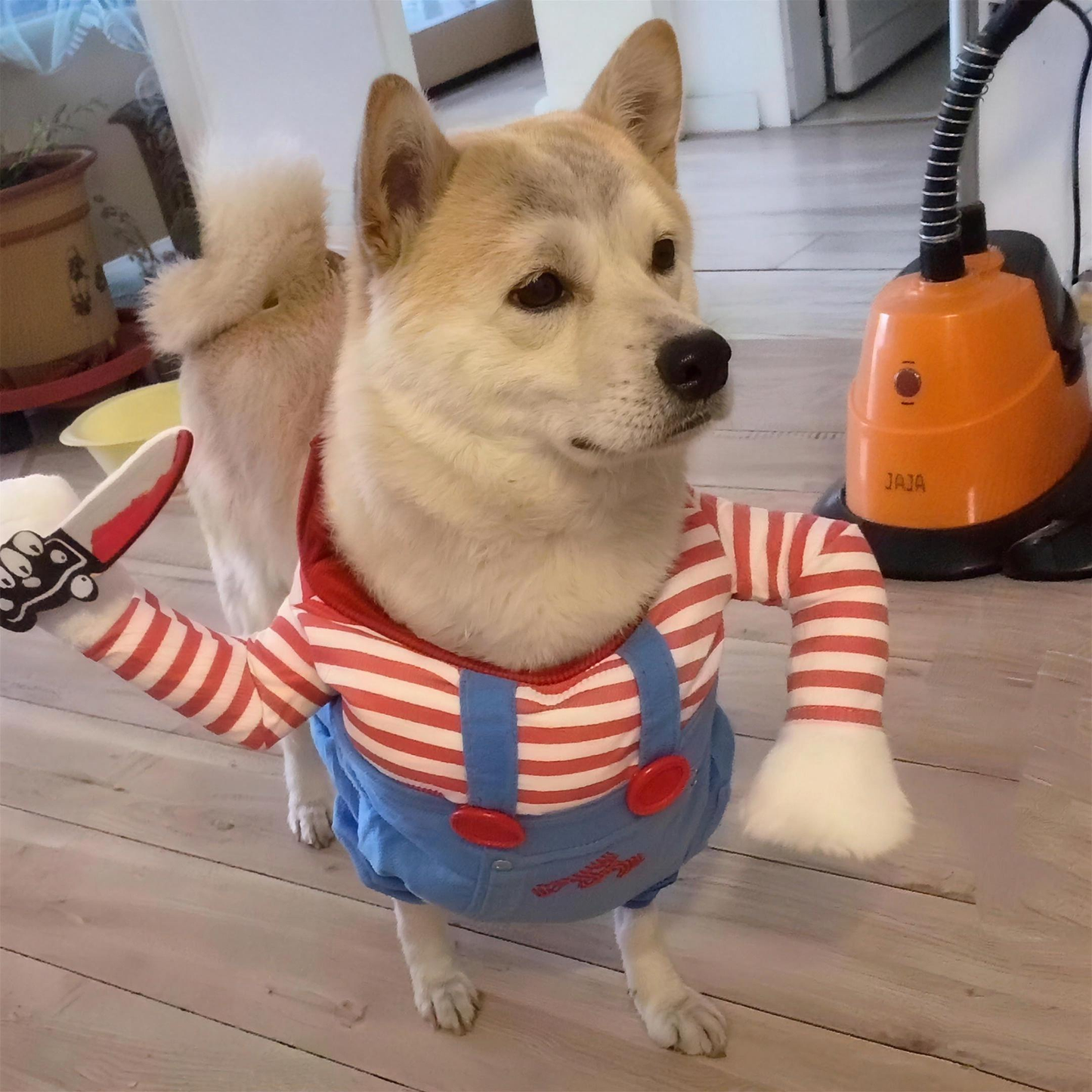 Spooky Doll Pet Costume